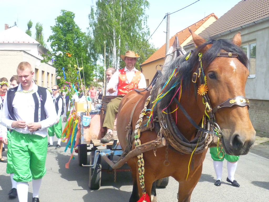 Máje Třebichovice 2015