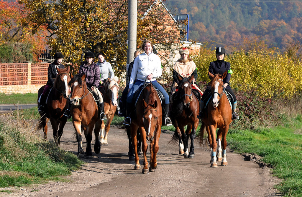 Hubert 2015 (14)