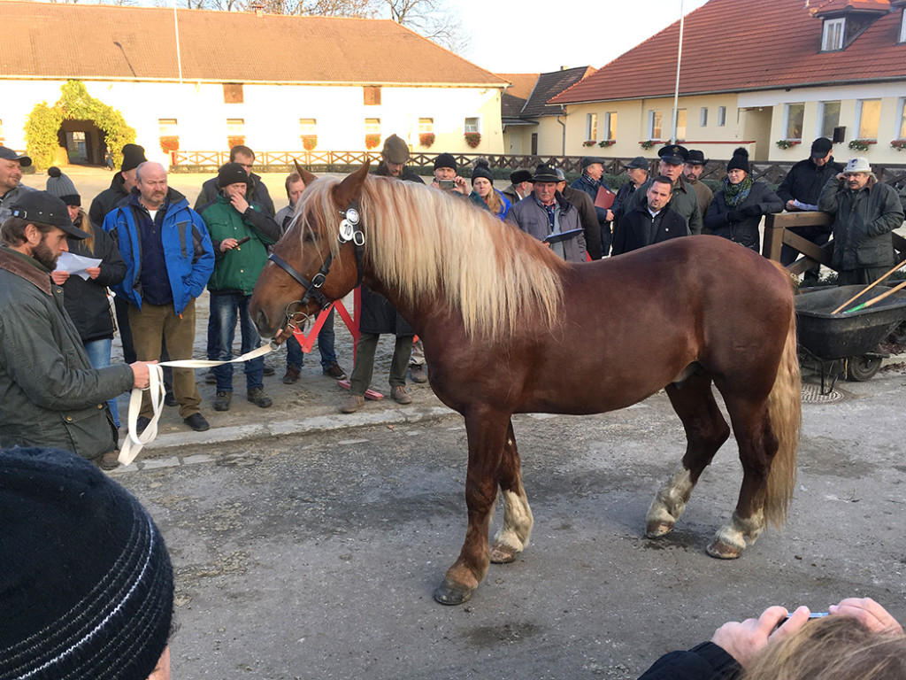 Výkonnostní zkoušky, Tlumačov 2017