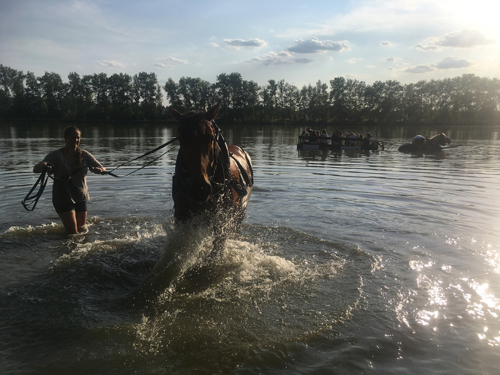 Jezdecký tábor 2018 (18)