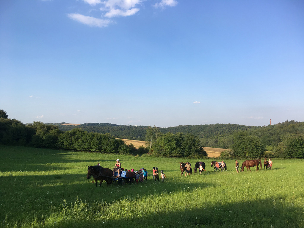 Letní jezdecký tábor 2017 (49)